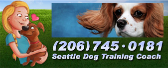 dog training online 
